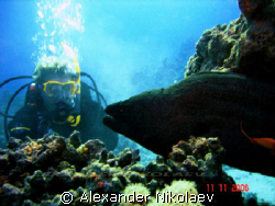 Diver under the stress. I hope it's not in conflict with ... by Alexander Nikolaev 